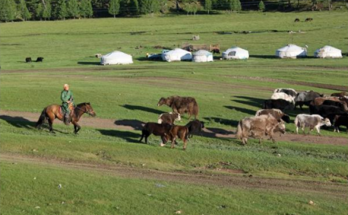 Даже кочевники Монголии уже используют солнечные батареи